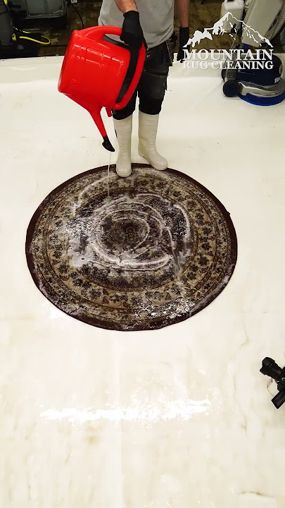 Frozen Solid Carpet Cleaning! Satisfying ASMR Carpet Clean. #shorts