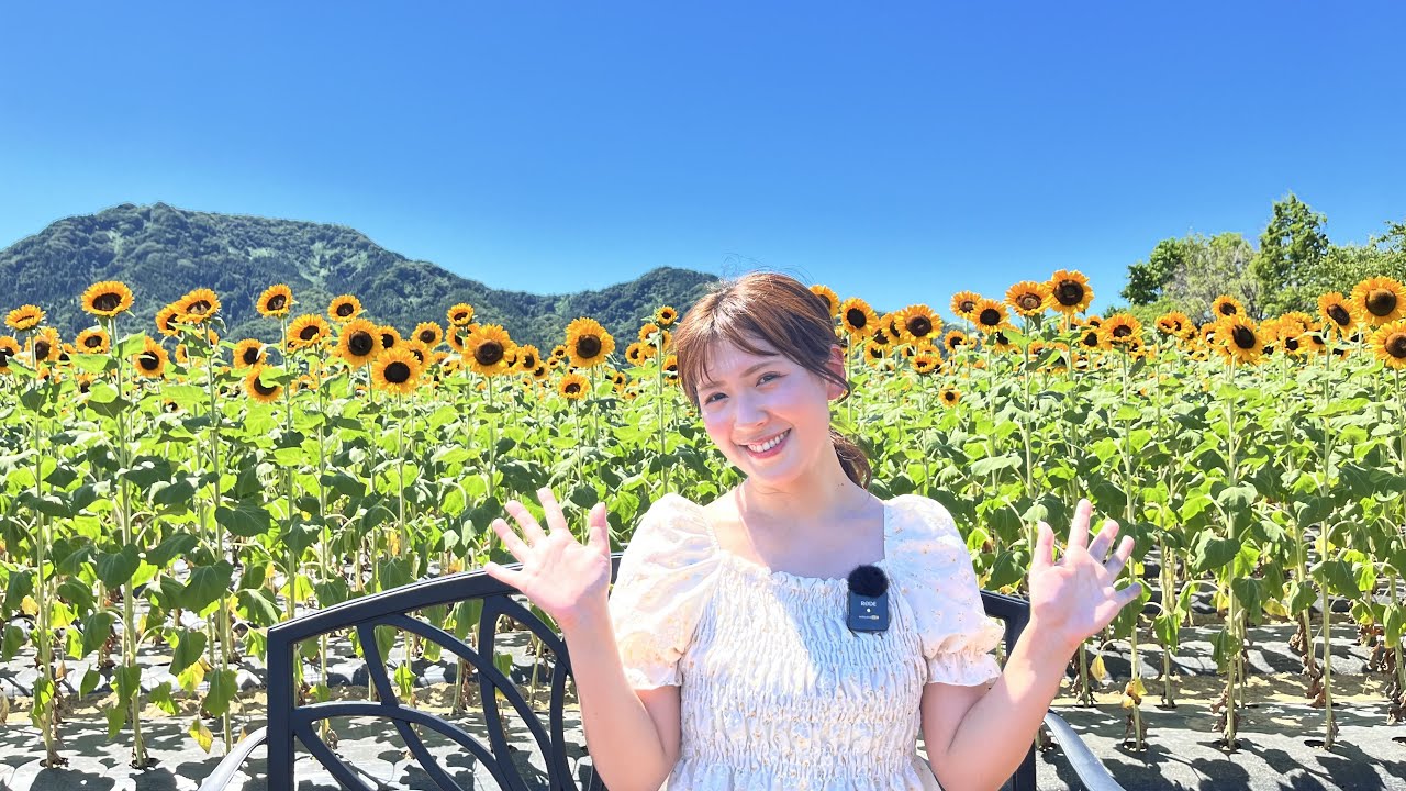 LIVE】8/14 12:00頃～ 上堰潟公園のひまわり広場 チャンネル初登場