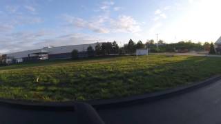 Male American Kestrel Kill # 3