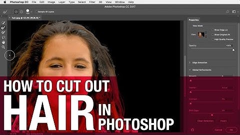 Cutting out Hair with the Select and Mask dialog