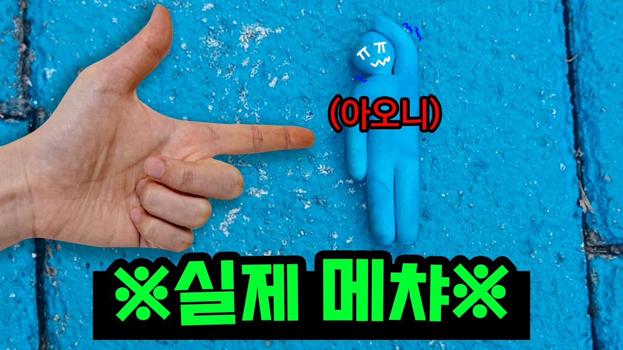 구독자님과 만나 실제 메챠 카멜레온 브이로그
