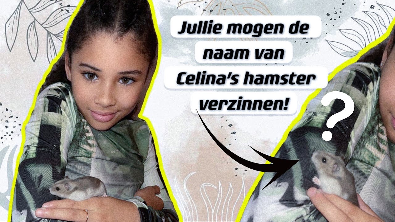 Wij hebben een huisdier!