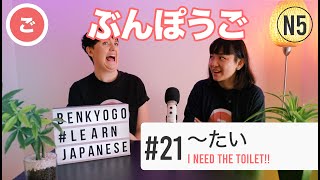 "I need the toilet!!" JLPT N5 - 〜たい Real Japanese Grammar【ぶんぽうご #21】 screenshot 1
