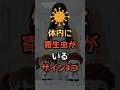🚨寄生虫の隠れたサイン4つ