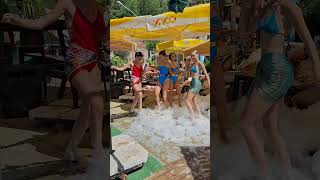 Dancer Gogo Girls Onthe Dance Floor Marmari̇s Türki̇ye