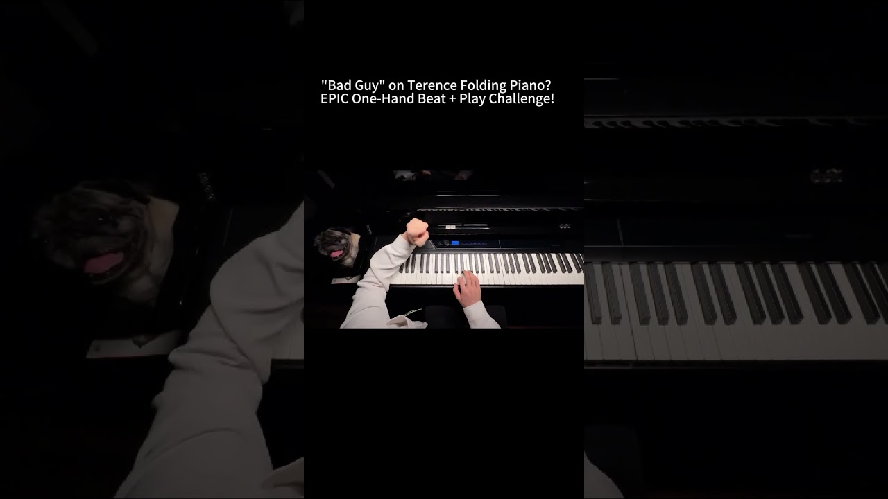 ‘Bad Guy’ on Terence Folding Piano EPIC One Hand Beat + Play Challenge! 