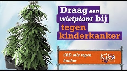 zo kan het ook - kika en cbd - happy