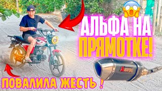 видео: ТЮНИНГ АЛЬФА 150СС #4- ПОСТАВИЛИ ПРЯМОТОК АКРАПОВИЧ НА АЛЬФУ |РЕАКЦИЯ ПАПЫ #тюнинг #покатушки #альфа картинка: ТЮНИНГ АЛЬФА 150СС #4- ПОСТАВИЛИ ПРЯМОТОК АКРАПОВИЧ НА АЛЬФУ |РЕАКЦИЯ ПАПЫ #тюнинг #покатушки #альфа