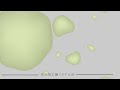 発育とマニエリスム【PVSF2026S】