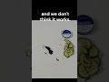 Vaseline v.s slugs, can it work as a barrier? #gardenpest #slugs #garden #containergardening