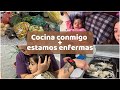 vlog/ estamos enfermas + cocina conmigo + compras de la semana