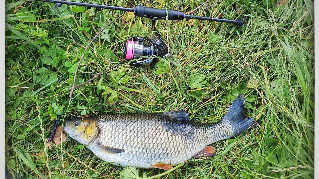 UL Lure Fishing Chub and Perch