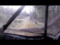 Turkey hunt