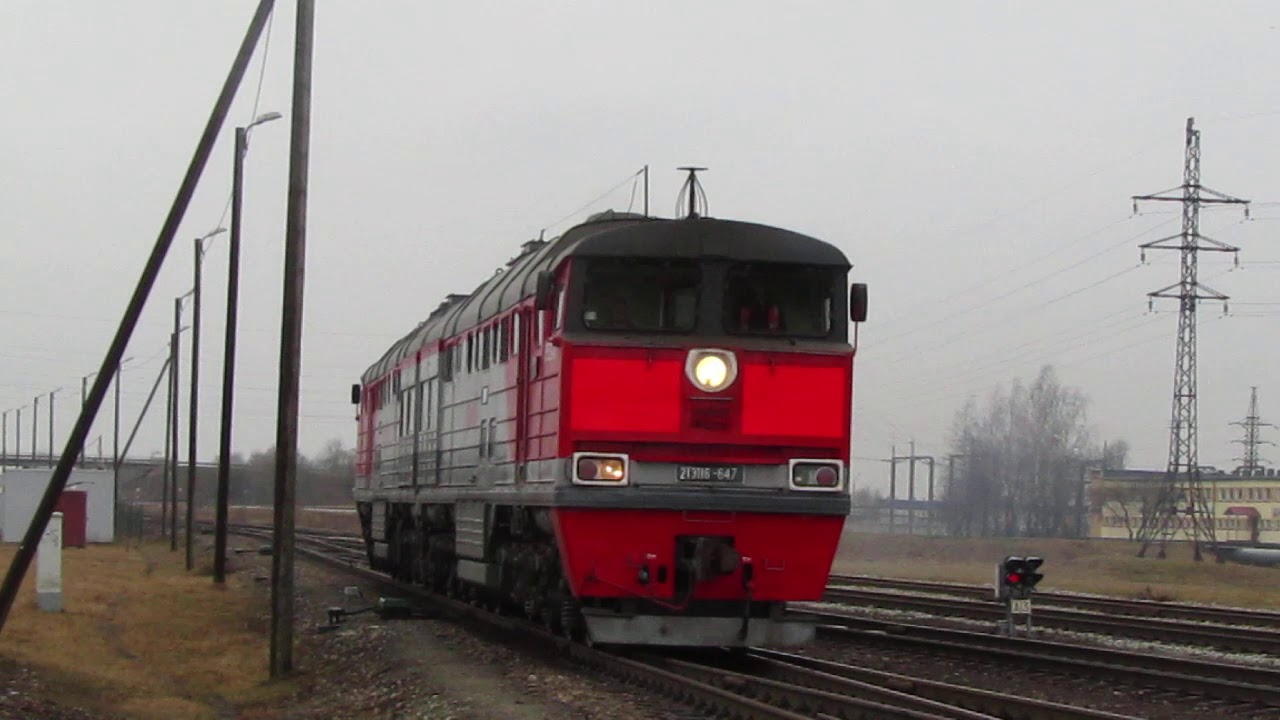 Тифон на машине