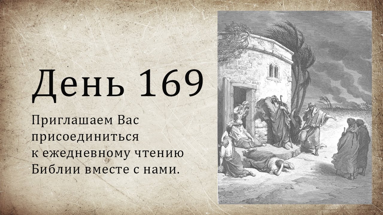 169 дней