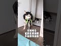 I really raised a living ancestor. The cute pet’s debut plan. The dogs have become sperms. I nev
