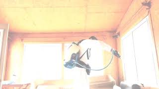 Fext - Carpenter Ants Solution, Baiting Program