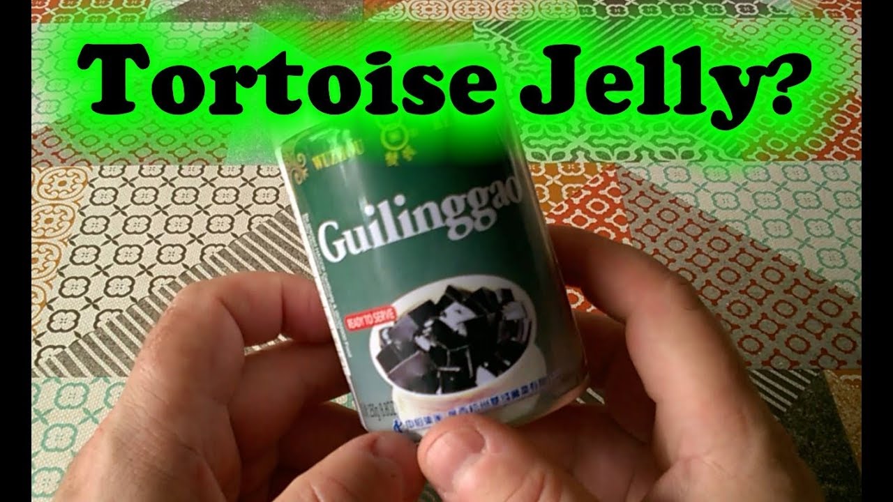 Guilinggao Tortoise Jelly Weird Stuff In A Can 21 YouTube