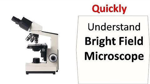 Bright field microscopy
