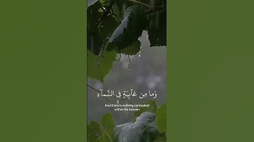 اسلام صبحي | سورة النمل الآية (73) #اكسبلور #راحة_نفسية #لايك #دويتو #duet