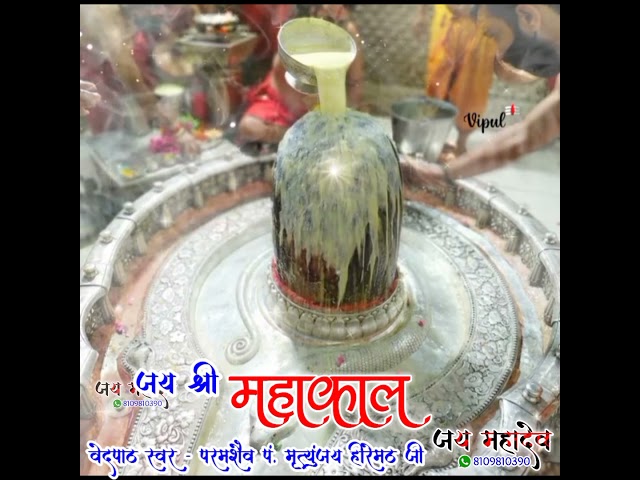 Ujjain mahakal | Shiva Rudrashtakam Stotram | Pt.Mritunjay Hiremath class=