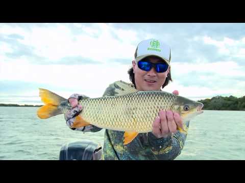 Fish TV - Biopesca - Técnica da Pingadinha na Pesca de Piapara na Argentina - T05 EP03 - Fish TV - Biopesca - Técnica da Pingadinha na Pesca de Piapara na Argentina - T05 EP03