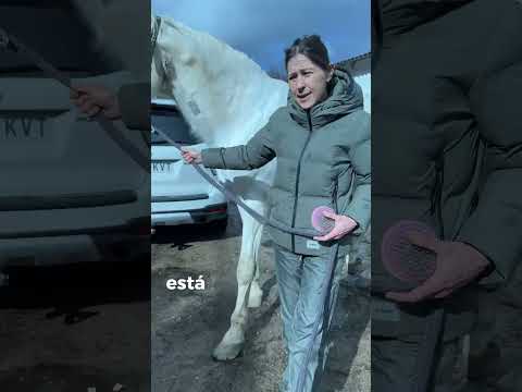 A los caballos mayores se les cuida ❤️