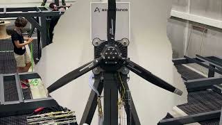 Introducing Sterna On Our Iron Bird