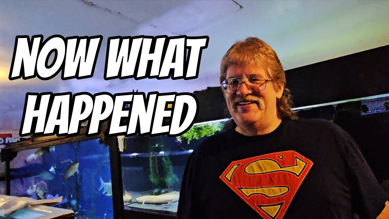 Now What Happened