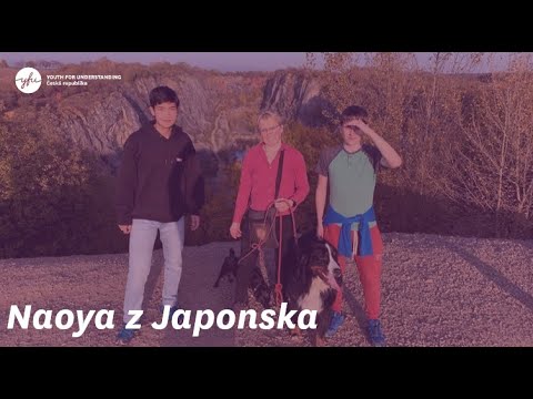 Video: Poznámky Z Japonska K Výročí Pearl Harbor - Matador Network