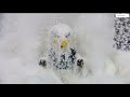 Philadelphia Eagles Mascot Engulfed In Confetti Storm