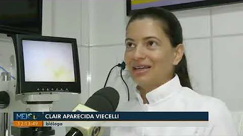Qual diferença entre piolho-de-cobra e lacraia?