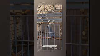 Httpsvkcomclub229050566