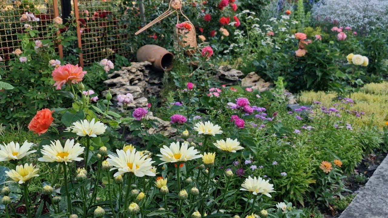 Квітник в липні.Прогулянка,після троянд...