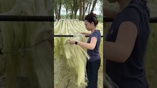 wooden work | #shortsfeed #youtube #viralreels #bamboo