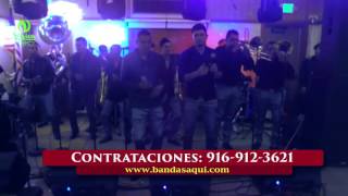 Banda Peligro de Jalisco - Movidas