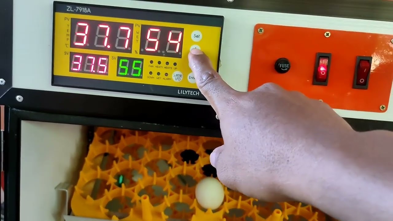 ZL 7918A/108 SETTER 100 HATCHER/BOUND TO QC