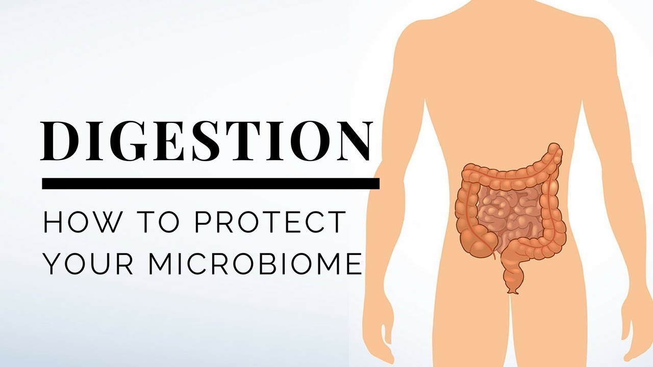 How to Protect Your Microbiome When You Travel
