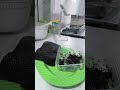 Nyien brownis oreo ala si pangais,tapi t sakabeh anu di rncanaken bisa brjalan mulus sesuai kahayang
