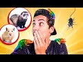 MOSTRANDO TODOS MEUS ANIMAIS **animais exóticos?**