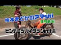 梅本まどかのアマsiri11月前半(津島市) の動画、YouTube動画。