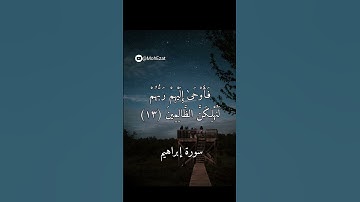 #تلاوات_خاشعة من #سورة_إبراهيم  للشيخ محمد عزت