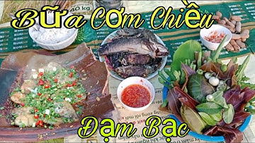 Giăng Lưới Cá Rô Cùng Bữa Cơm Đạm Bạc / Săn Bắt Quê Tôi TV #81