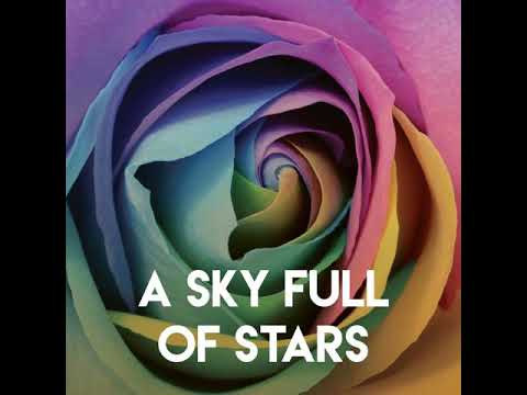 CDM Project A Sky Full Of Stars