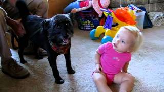 MVI_7385.avi