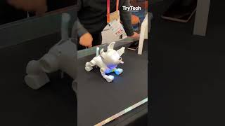 Meet Dog-E! WowWee’s robot dog | TryTech | TechCrunch