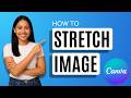 How to Stretch Image in Canva [Quick Guide]