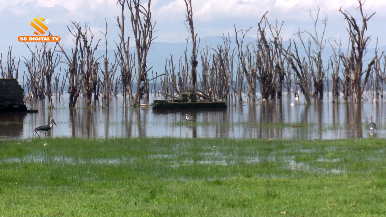 SHOCKING-Four shoot by KWS Rangers for allegedly fishing illegally in lake Nakuru
