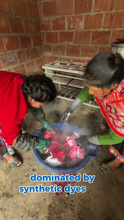 Pinchichu: The Hidden Andean Berry Behind Vibrant Natural Dyes  #ecofashion  #ecofriendlyclothing