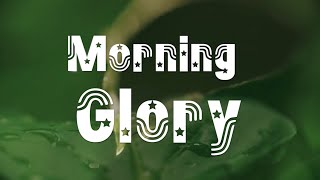 MORNING GLORY WITH KING JAMES ON KJ RADIO ||| 16-05-2024 #shots #kjradio  #treanding #kingjames